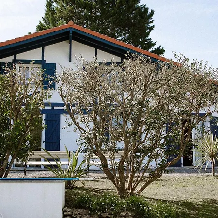 Casa de Férias Maison Dominos Centre Piscine Accès Océan à Pied