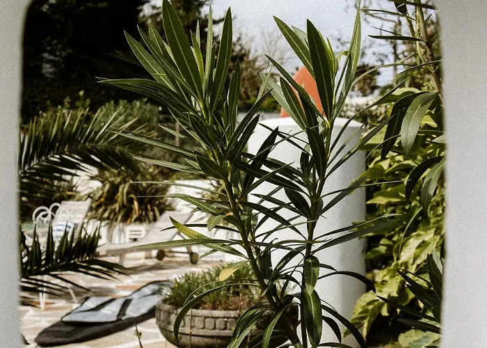 Centre Piscine Acces Ocean A Pied * Гетари