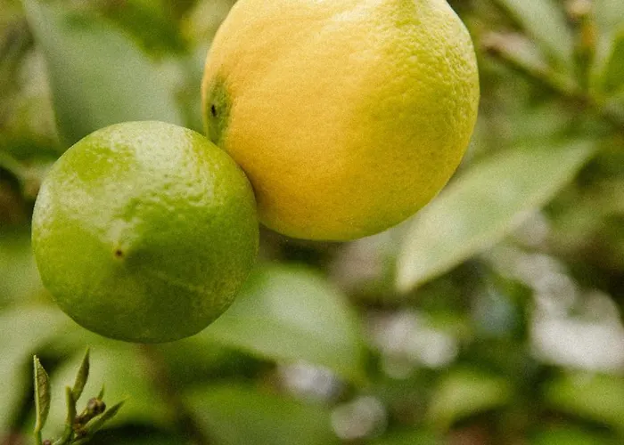 Дом отдыха Centre Piscine Acces Ocean A Pied *