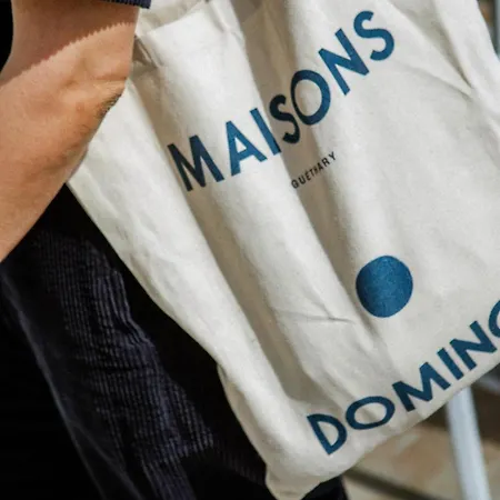 Maison Dominos Centre Piscine Acces Ocean A Pied