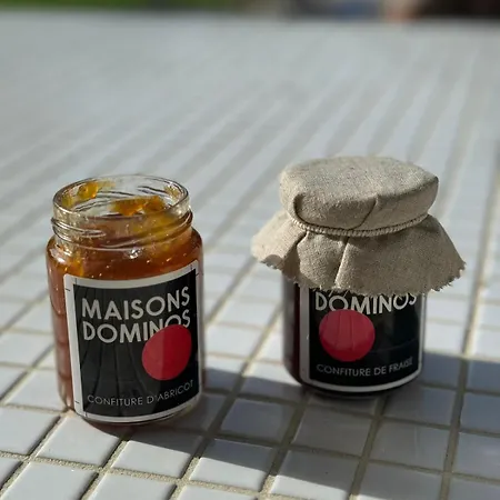 Maison Dominos Centre Piscine Acces Ocean A Pied Feriehus